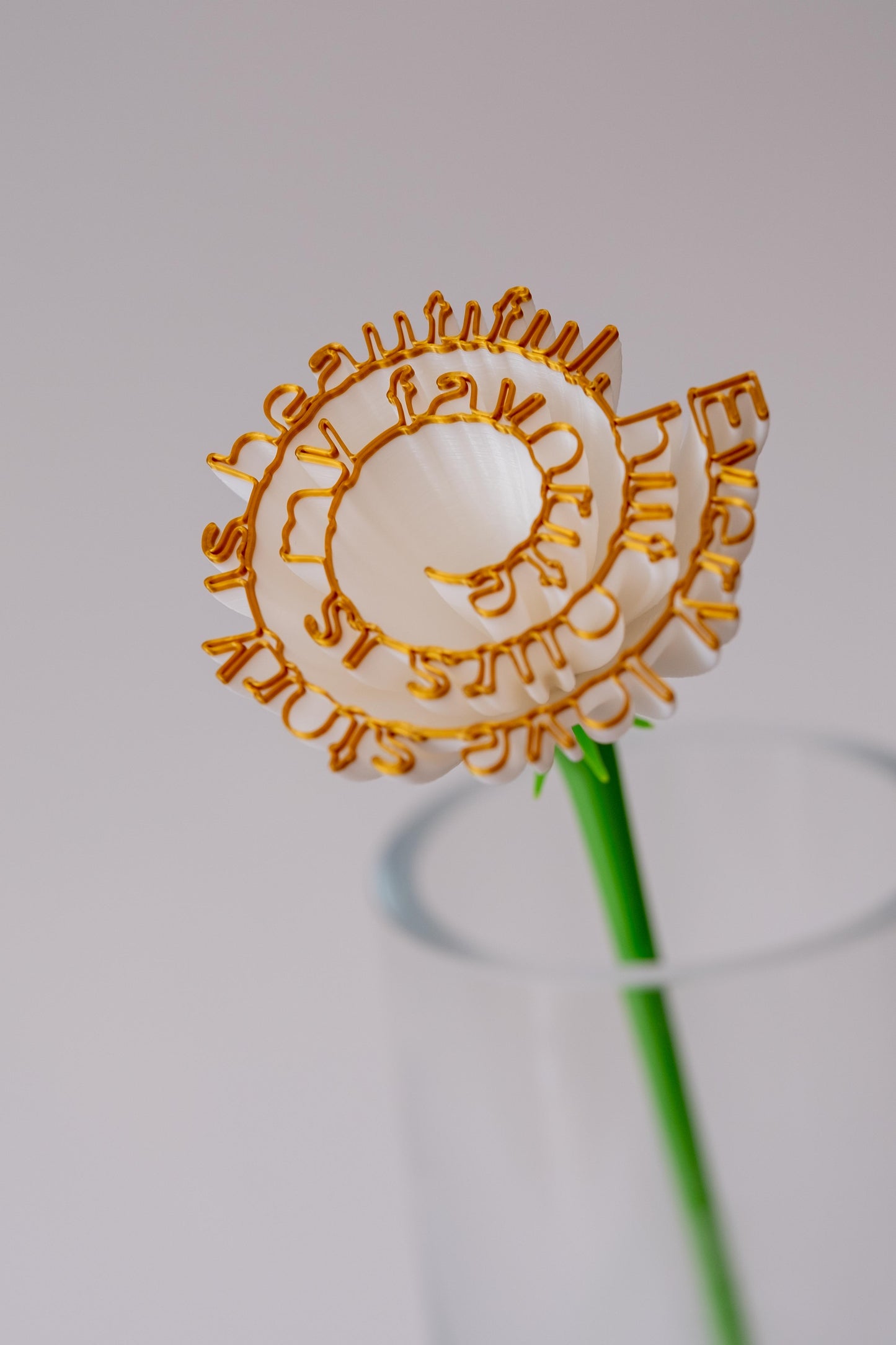 Flower "Every love story is beautiful, but ours is my favourite"