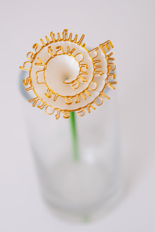 Flower "Every love story is beautiful, but ours is my favourite"