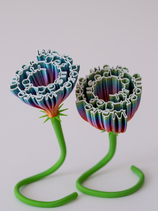 Flower "We are here, we are Queer, get used to it"