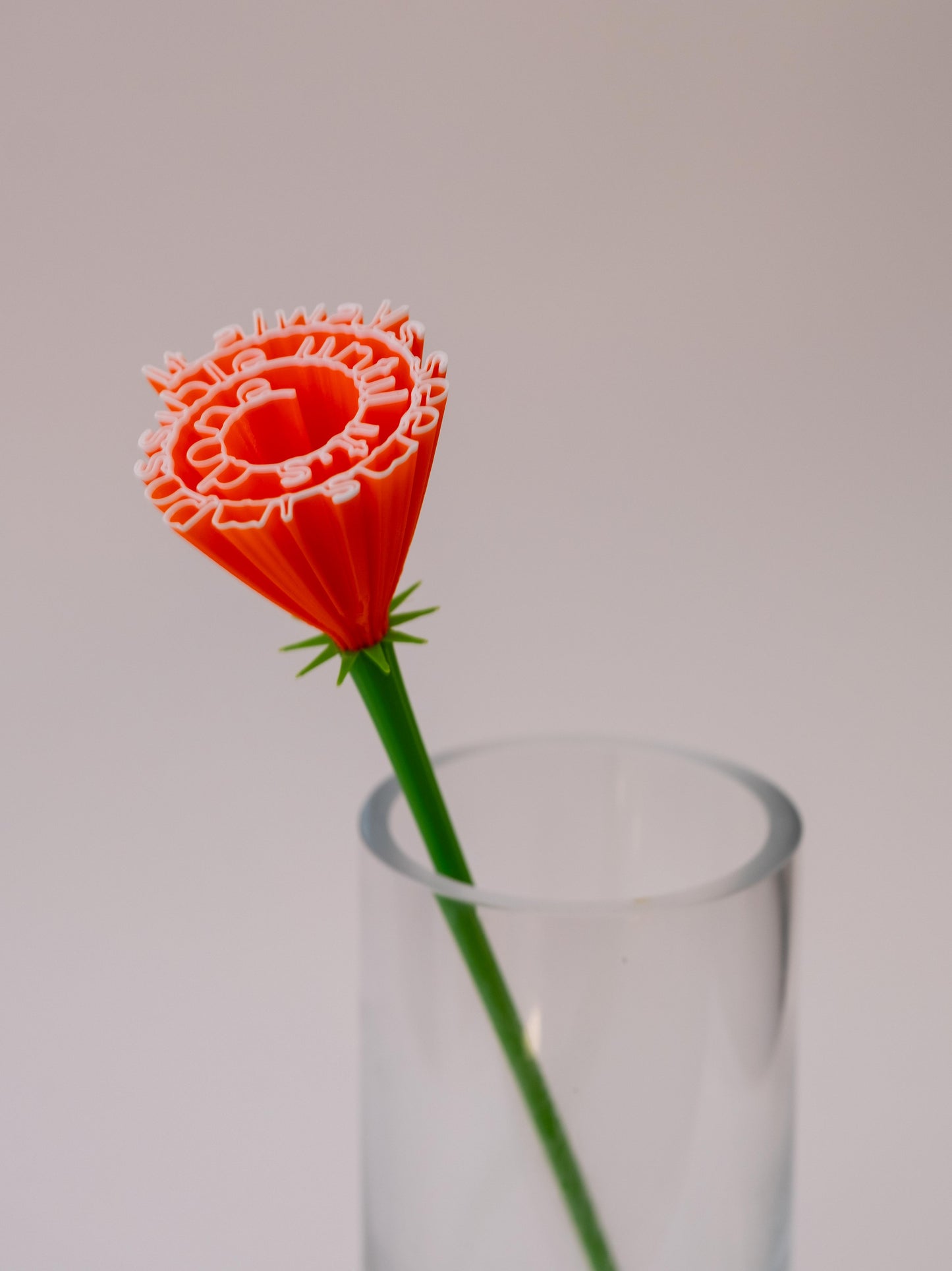 Flower "It always seems impossible until it's done"