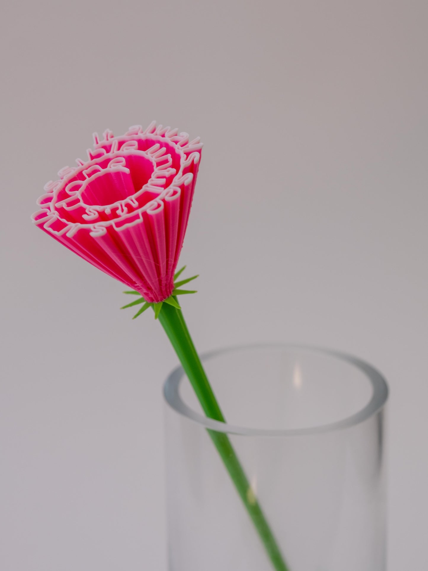 Flower "It always seems impossible until it's done"