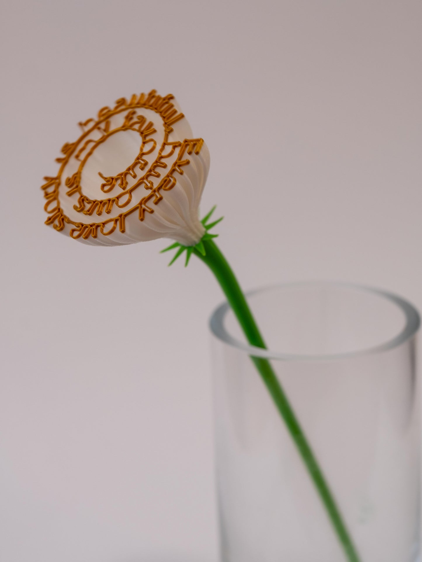 Flower "Every love story is beautiful, but ours is my favourite"