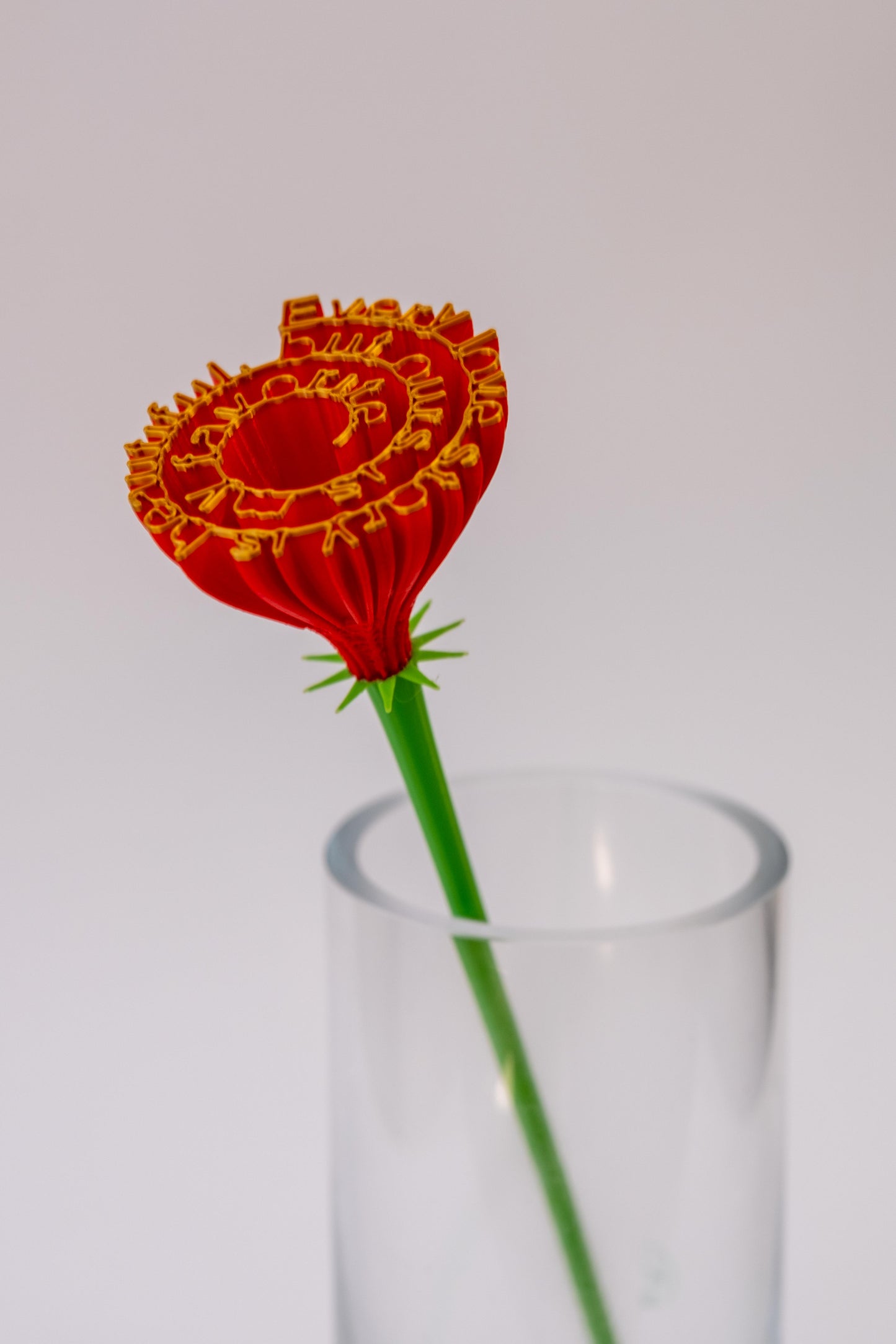 Flower "Every love story is beautiful, but ours is my favourite"