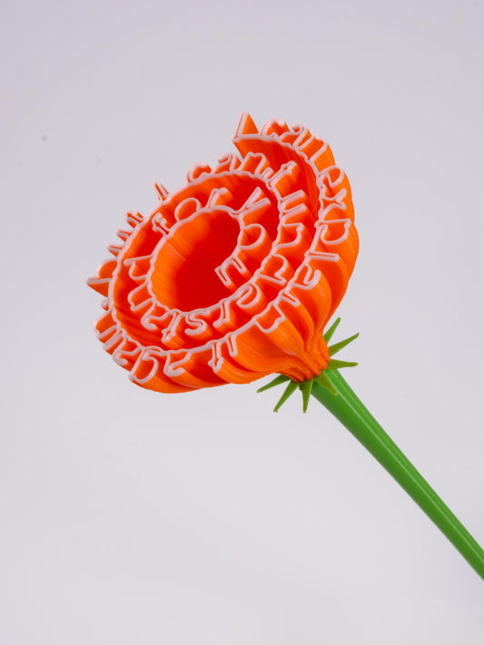 Flower "I can explain it again, but I can't understand for you"