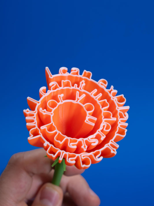 Flower "I can explain it again, but I can't understand for you"