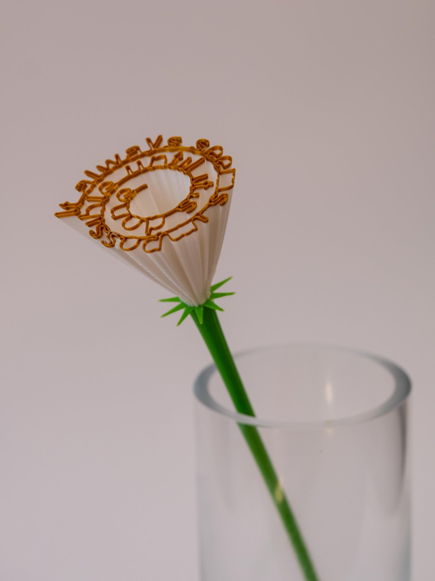 Flower "It always seems impossible until it's done"