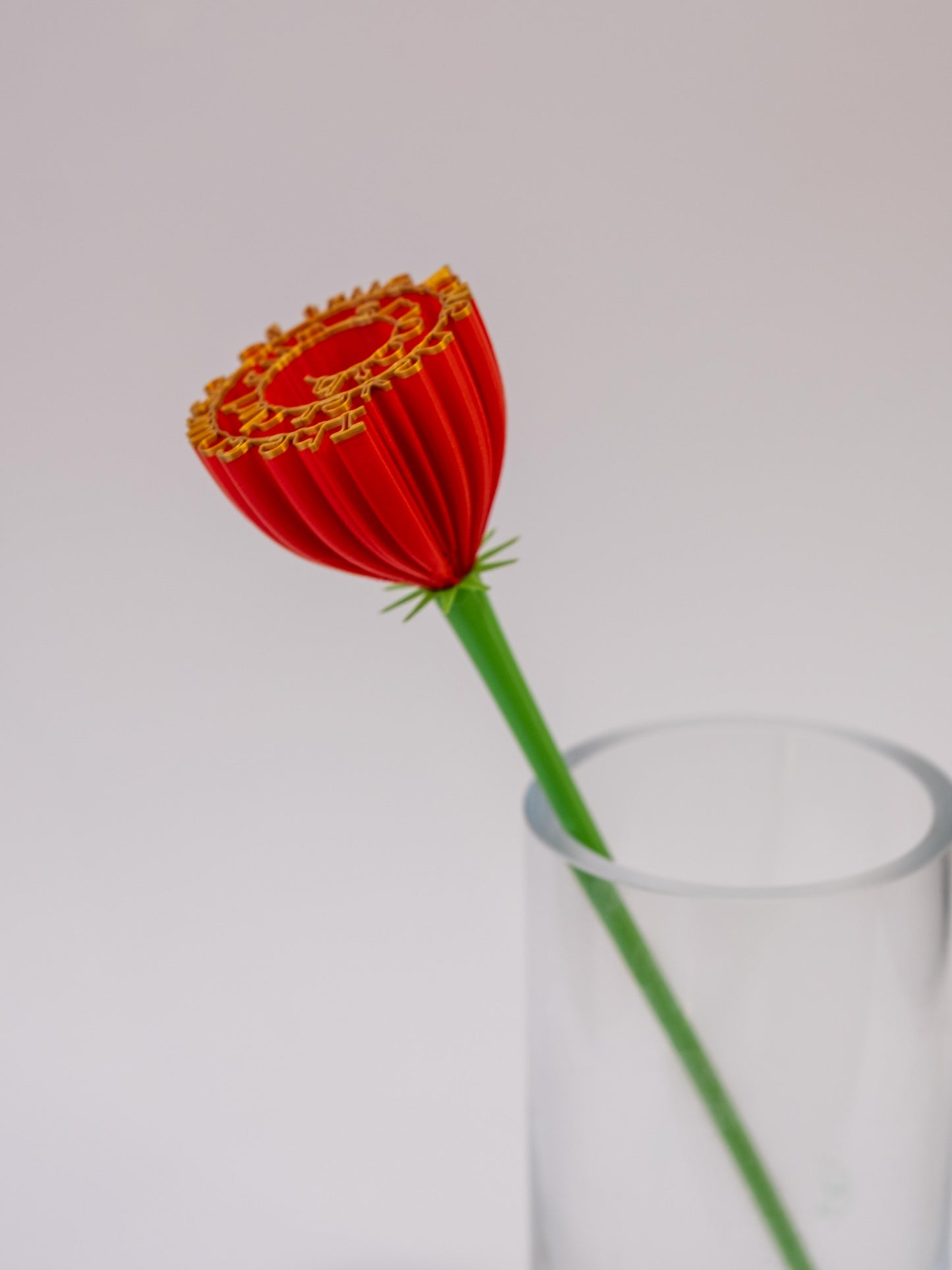 Flower "The Course of true love never did come smooth"