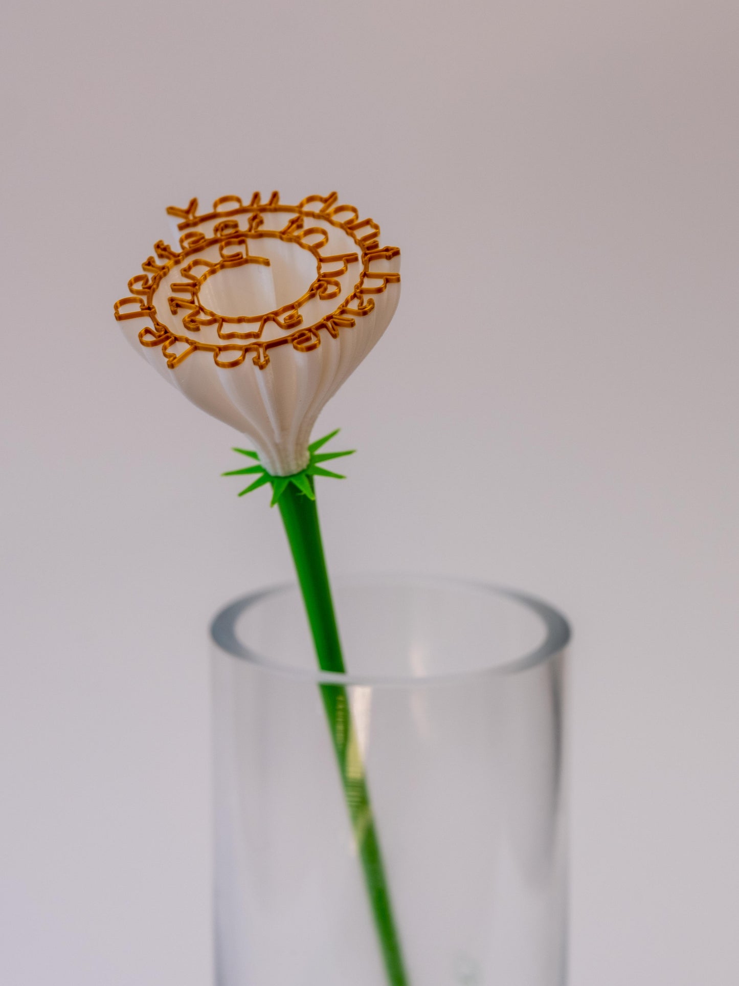 Flower "You don't have to be perfect to be amazing"