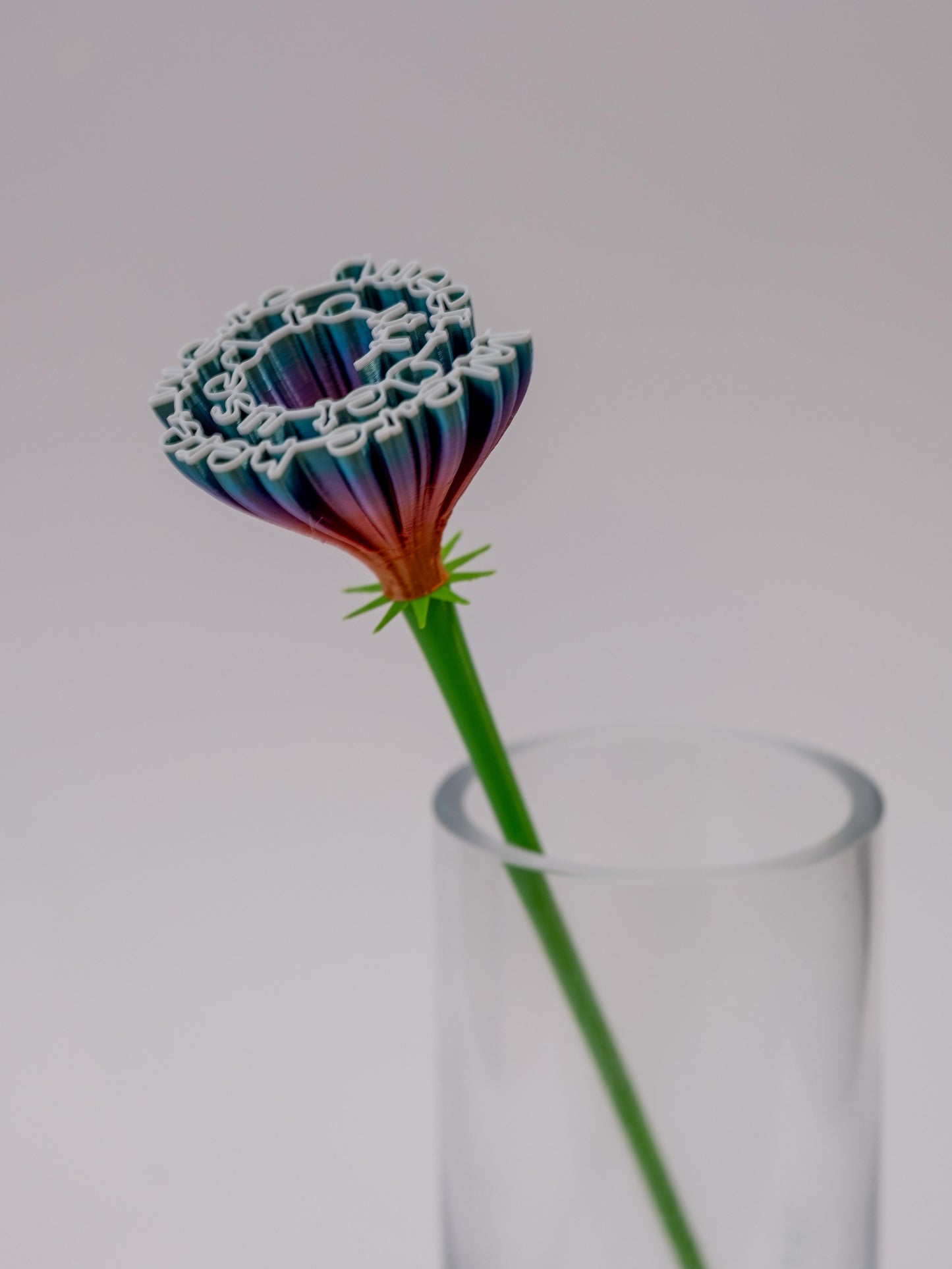 Flower "We are here, we are Queer, get used to it"