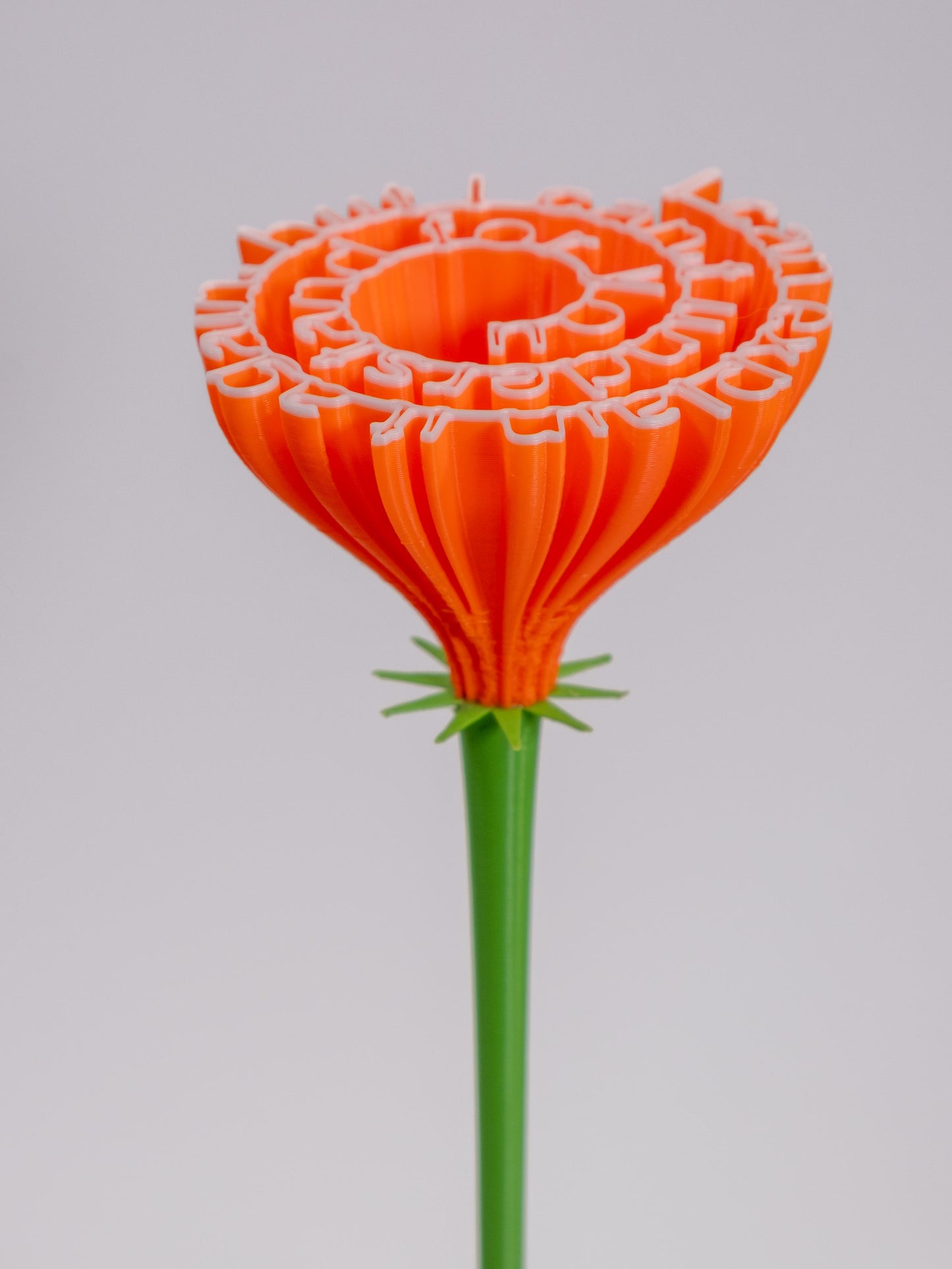 Flower "I can explain it again, but I can't understand for you"