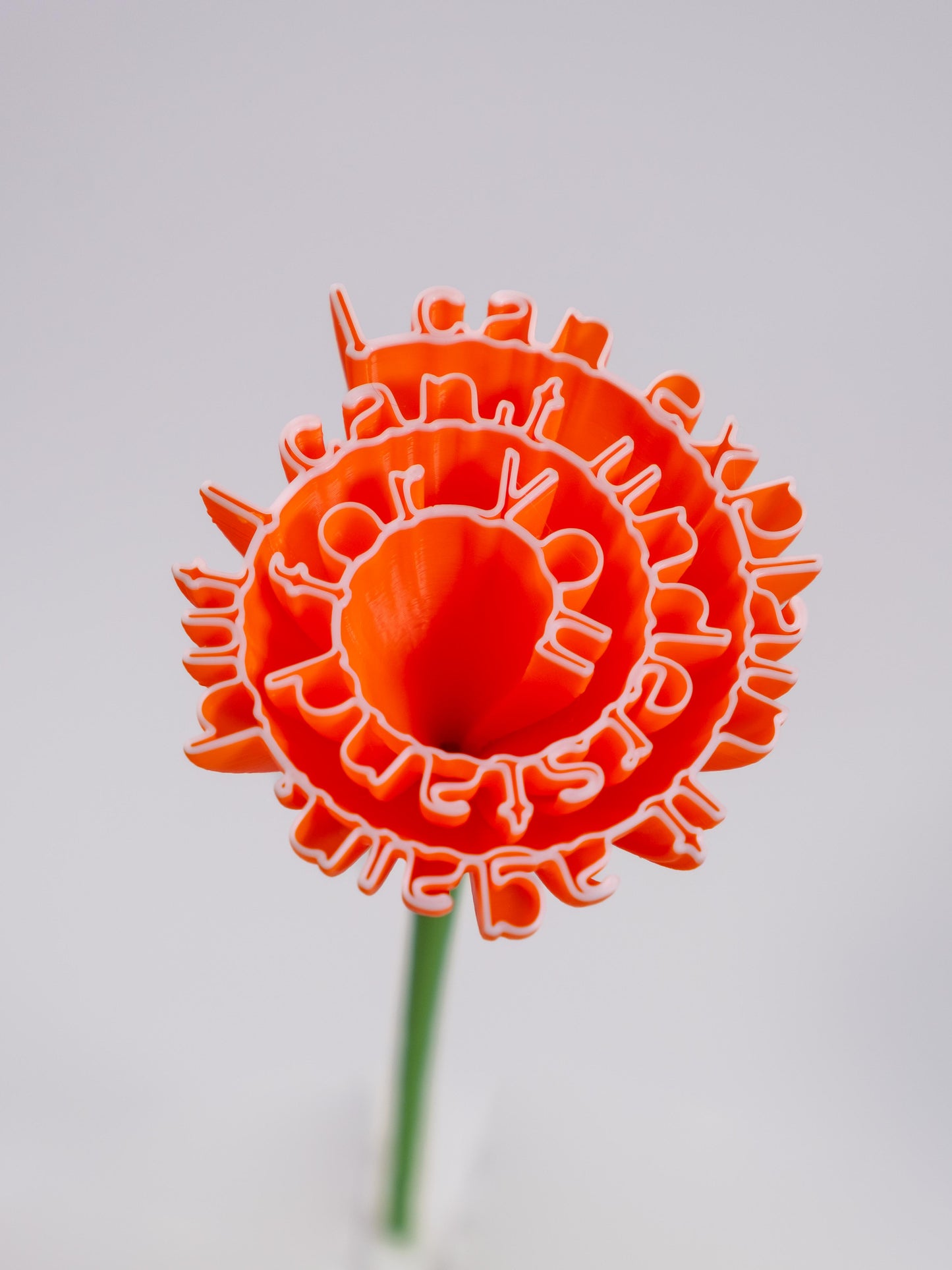 Flower "I can explain it again, but I can't understand for you"