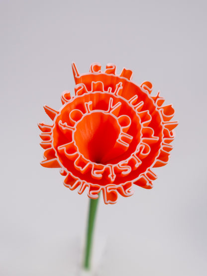 Flower "I can explain it again, but I can't understand for you"